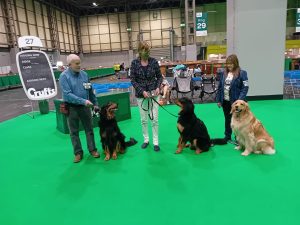 Farmwatch Hovawarts at Crufts 2026
